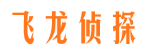 布拖市调查公司